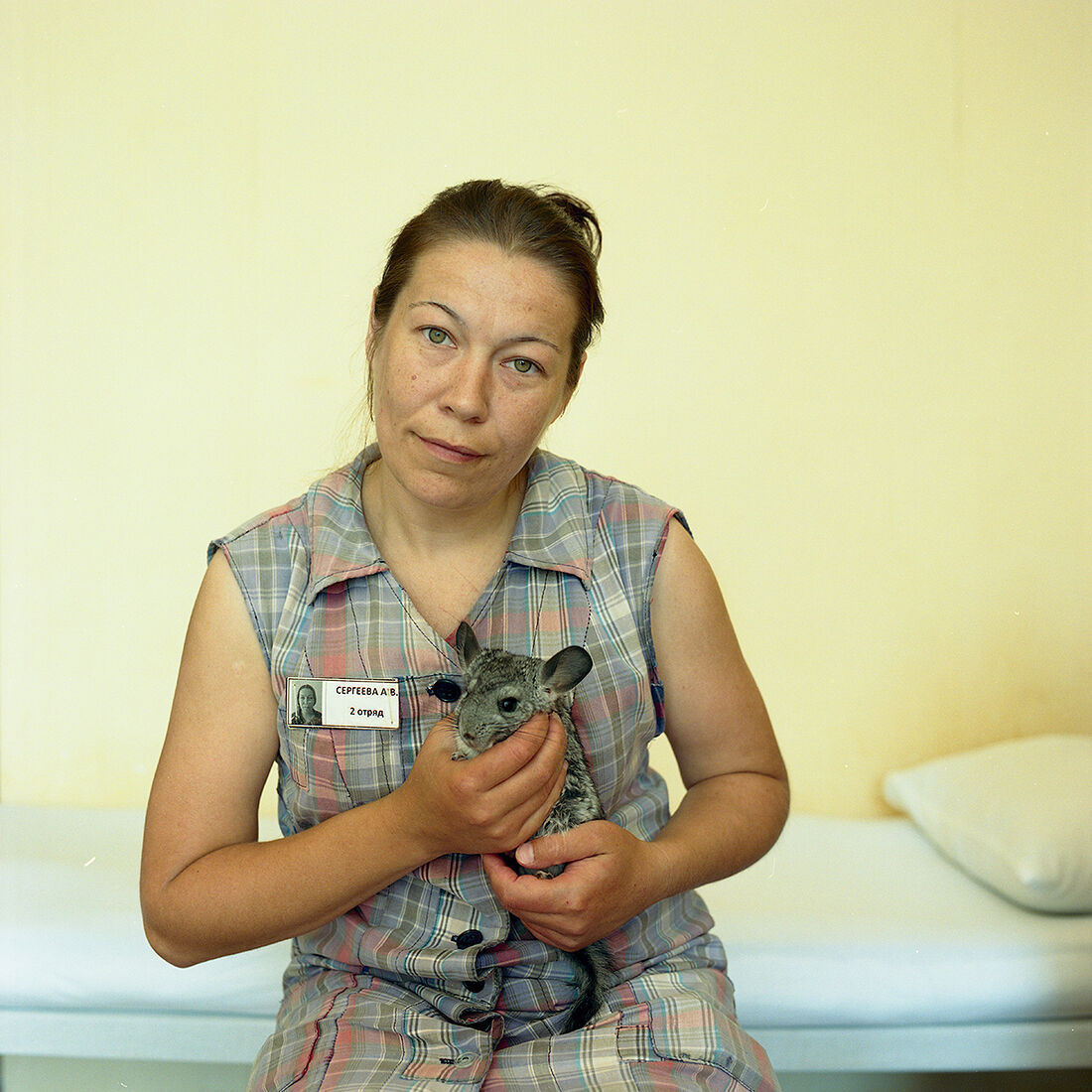 Содержать животных в исправительных учреждениях не запрещено и таким образом женщины реализуют свою потребность о ком-то заботиться. Невольная жизнь для «усатых-полосатых» проходит совсем неплохо: в передвижениях они не ограничены, не соблюдают режим, да и без вкусняшек никогда не остаются.
