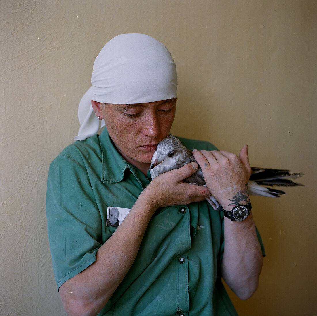 Время от времени Маня находит больных животных и выхаживает их, а потом отпускает на свободу. А сама возвращается в тюрьму уже в четвёртый раз.
