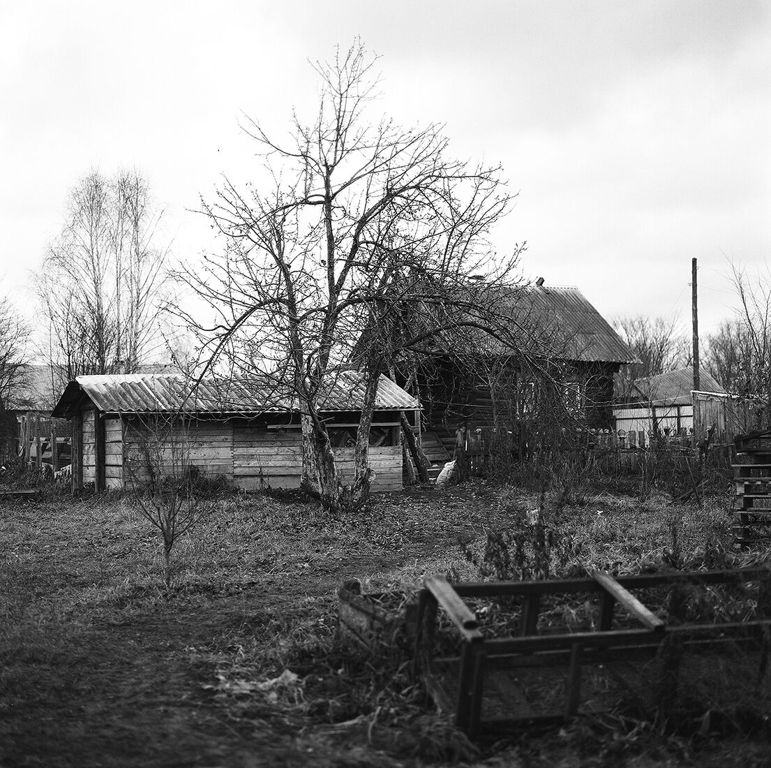 . Йошкины люди. Дом около семьи Охотниковых. 2024 г.