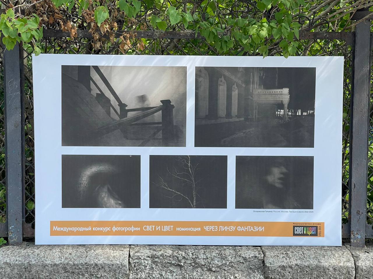 . Палаша. Международный фестиваль фотографии "СВЕТ И ЦВЕТ" Елец, 2025 г.