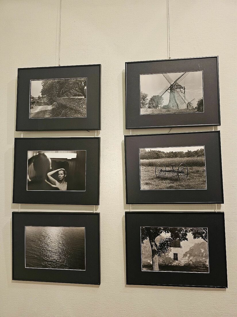 "Остров Бергмана"