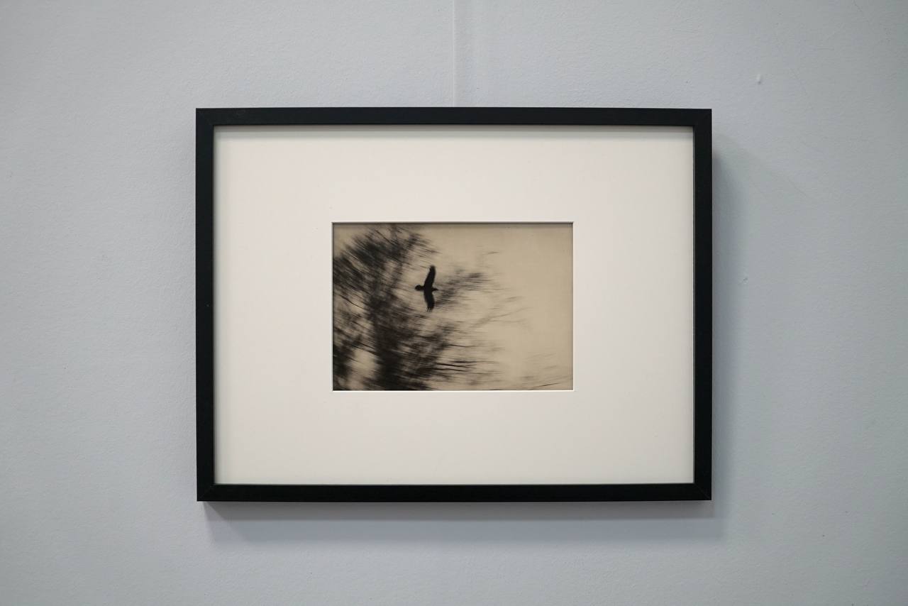 Музей истории фотографии, Санкт-Петербург, 2025 г.