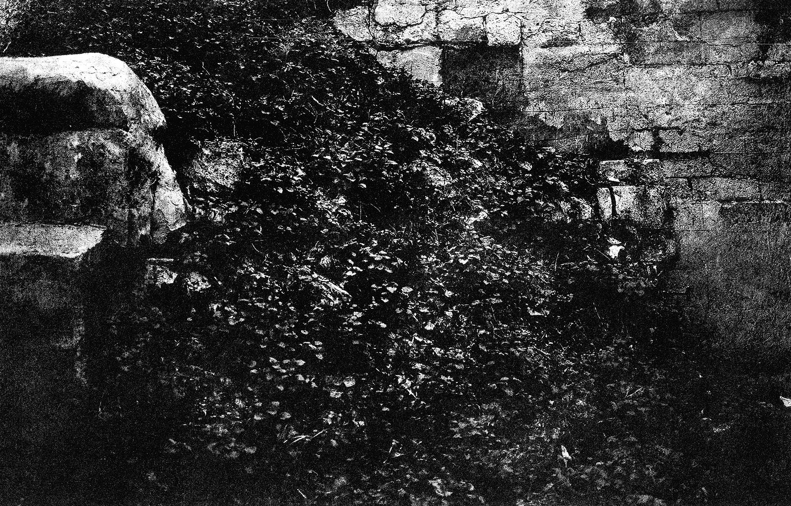 Фрагмент Цареборисовской плотины, выстроенной Борисом Годуновым в начале XVII века.